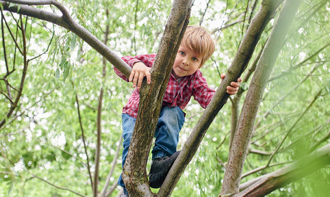 Jongen klein in boom spelen buiten