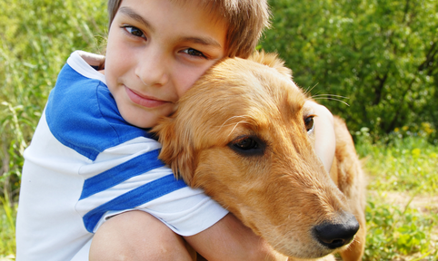 Zack kind met hond