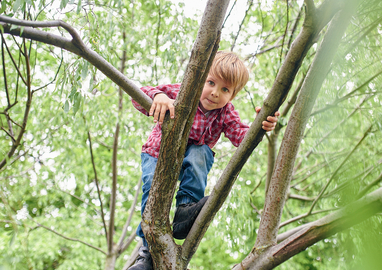 Jongen klein in boom spelen buiten