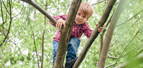 Jongen klein in boom spelen buiten